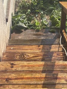 Using-stain-remover-on-the-deck-stairs
