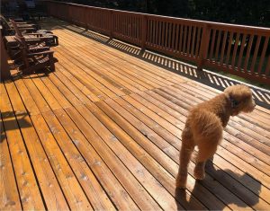 deck-finished